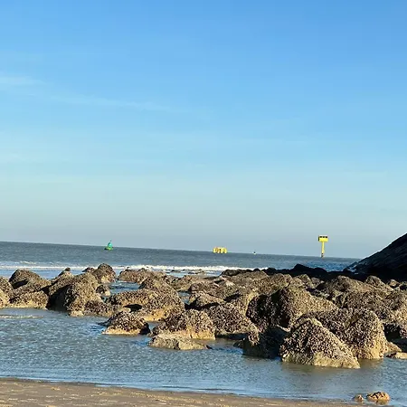 Testerep - Renovated With Lateral Sea View アパート オステンド